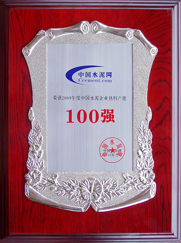 2009年度中国水泥企业熟料产能100强