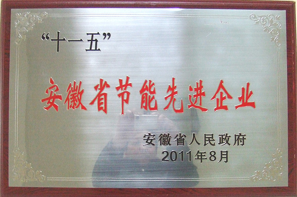 十一五安徽省节能先进企业