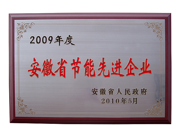 2009年度安徽省节能先进企业